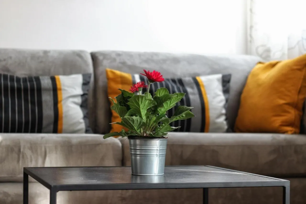 Kseni Accommodation Rovinj